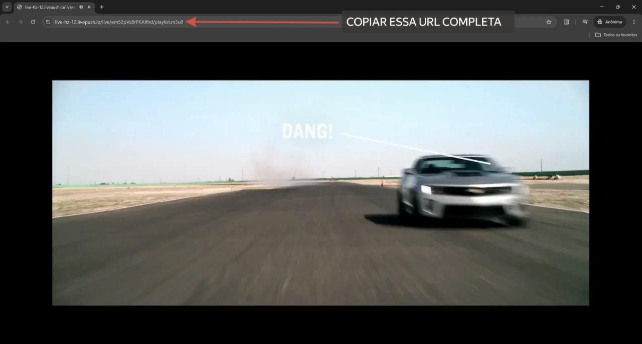Copiar o link m3u8 do navegador